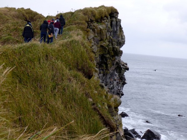 A school field trip to a sea cliff on St. Paul Island. KUCB/John Ryan photo