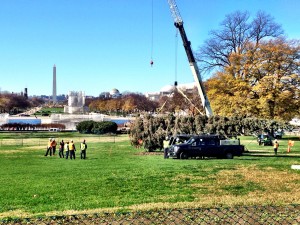 The Alaskan tree arrived at the Capitol but winds kept it horizontal all day