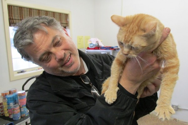Ketchikan Animal Protection Director Eddie Blackwood holds Dora, one of six cats rescued on Oct. 9 from a North End home. Dora is recovering from infections, but will be available for adoption once she’s healthy. (Photo by Leila Kheiry/KRBD)