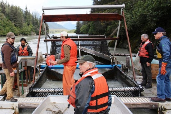 B.C. Mines Minister Bill Bennett, center, Lt. Gov. Byron Mallott, center right, and Fish and Game Commissioner Sam Cotton, right, visit a Taku River fish wheel in August after viewing the Tulsequah Chief Mine. (Photo courtesy lieutenant governor’s office)