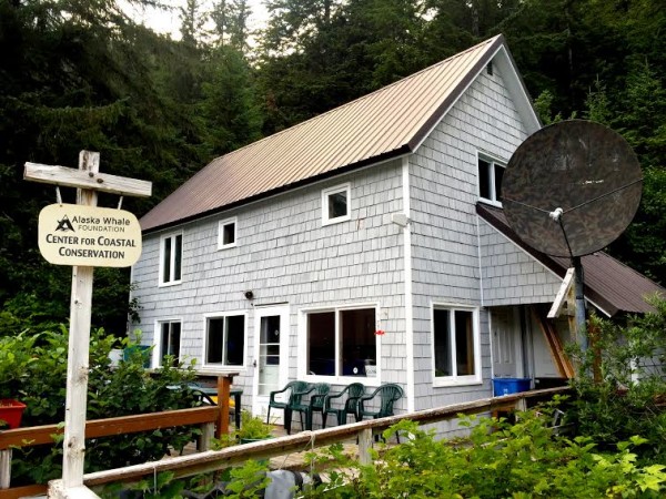 The Alaska Whale Foundation’s facility in Warm Springs Bay can support up to 6 scientists and volunteers, with internet access and a fleet of small craft. Photo shared via KCAW.org.