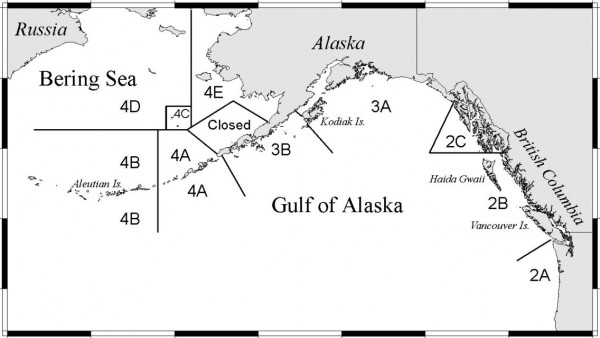 Commissioners heard data supporting increased halibut harvests in 6 of 8 sub-areas in the Gulf of Alaska.