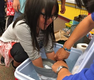 Visiting scientists show St. Paul students how blubber (or in this case, plastic bags lined with Crisco) helps marine mammals stay warm in cold water. KUCB PHOTO/JOHN RYAN