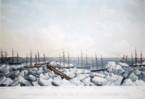 "Abandonment of the Whalers In The Arctic Ocean September 1871." Ships depicted: Monticello, Kohola, Eugenia, Julian, Awashonks Thom Dickason, Minerva, WM. Rotch, Victoria and Mary. Wainwright Inlet is in the background. Credit: Ted and Ellie Congdon, Huntington Library