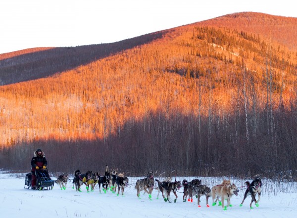 Richie Diehl drives his team over groomed trails towards Aaron Burmeister's property during training ahead of the 2016 Iditarod. Photo: Zachariah Hughes