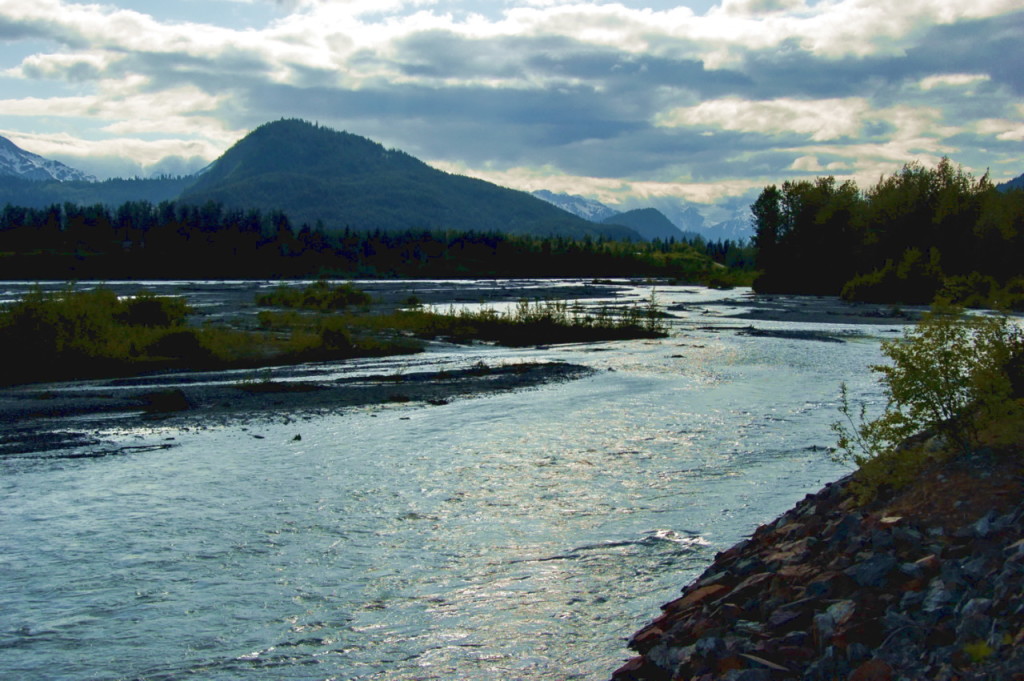 The Chilkat River in 2009. (Photo courtesy of Dave Bezaire/Flickr Creative Commons)