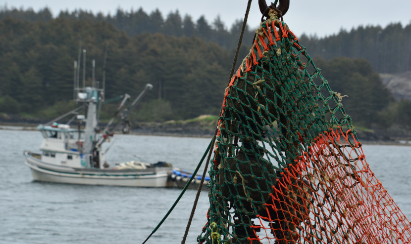 The seiner Jaime Marie sails past other fishing vessels at City Pier 2 in Kodiak on June 6, 2013. (Creative Commons photo courtesy of James Brooks)