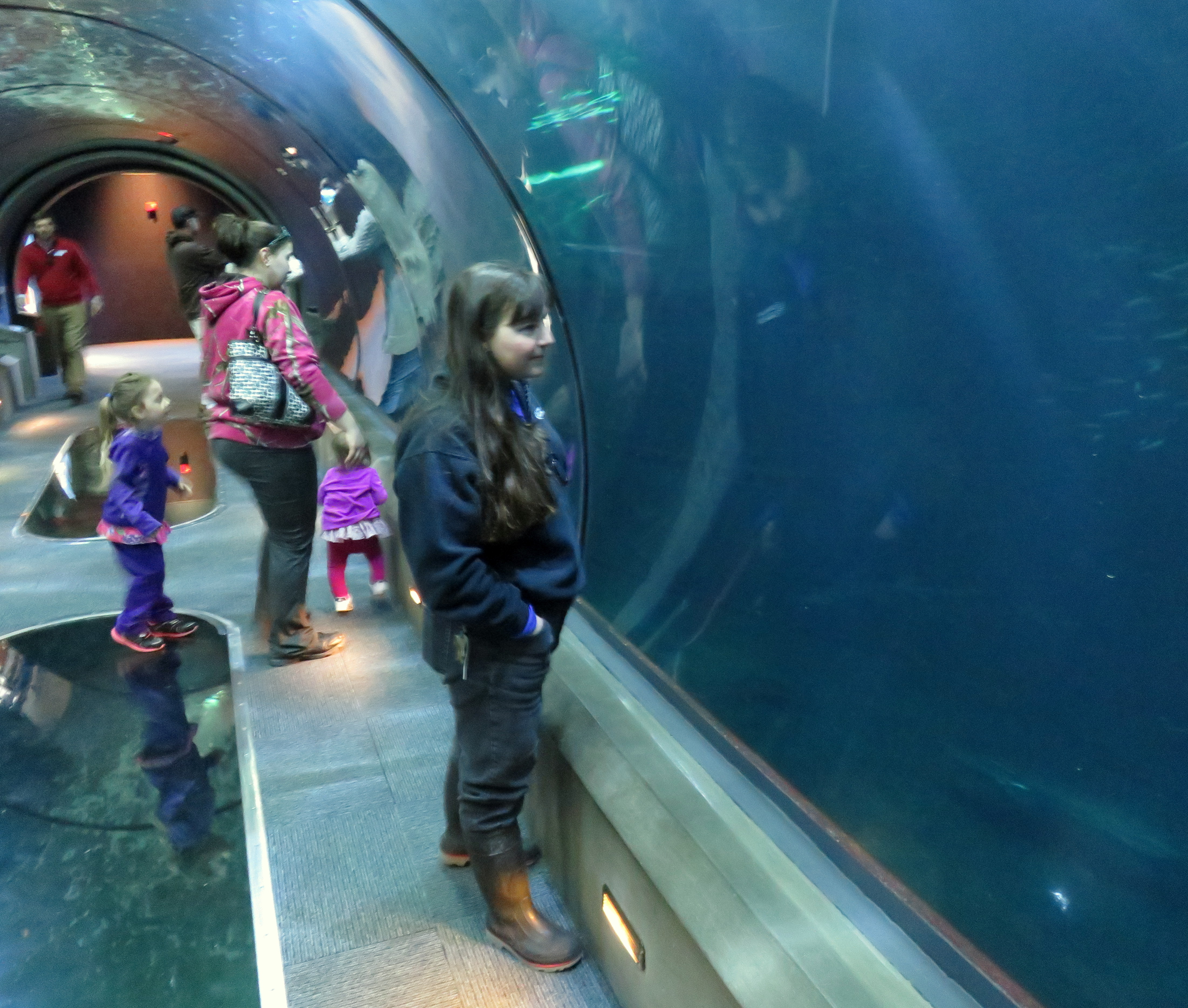 Assistant Curator Evonne Mochon Collura observes a school of yellowtail jacks in the open sea display at the Oregon Coast Aquarium. (Photo by Tom Banse, Northwest News Network - Oregon)
