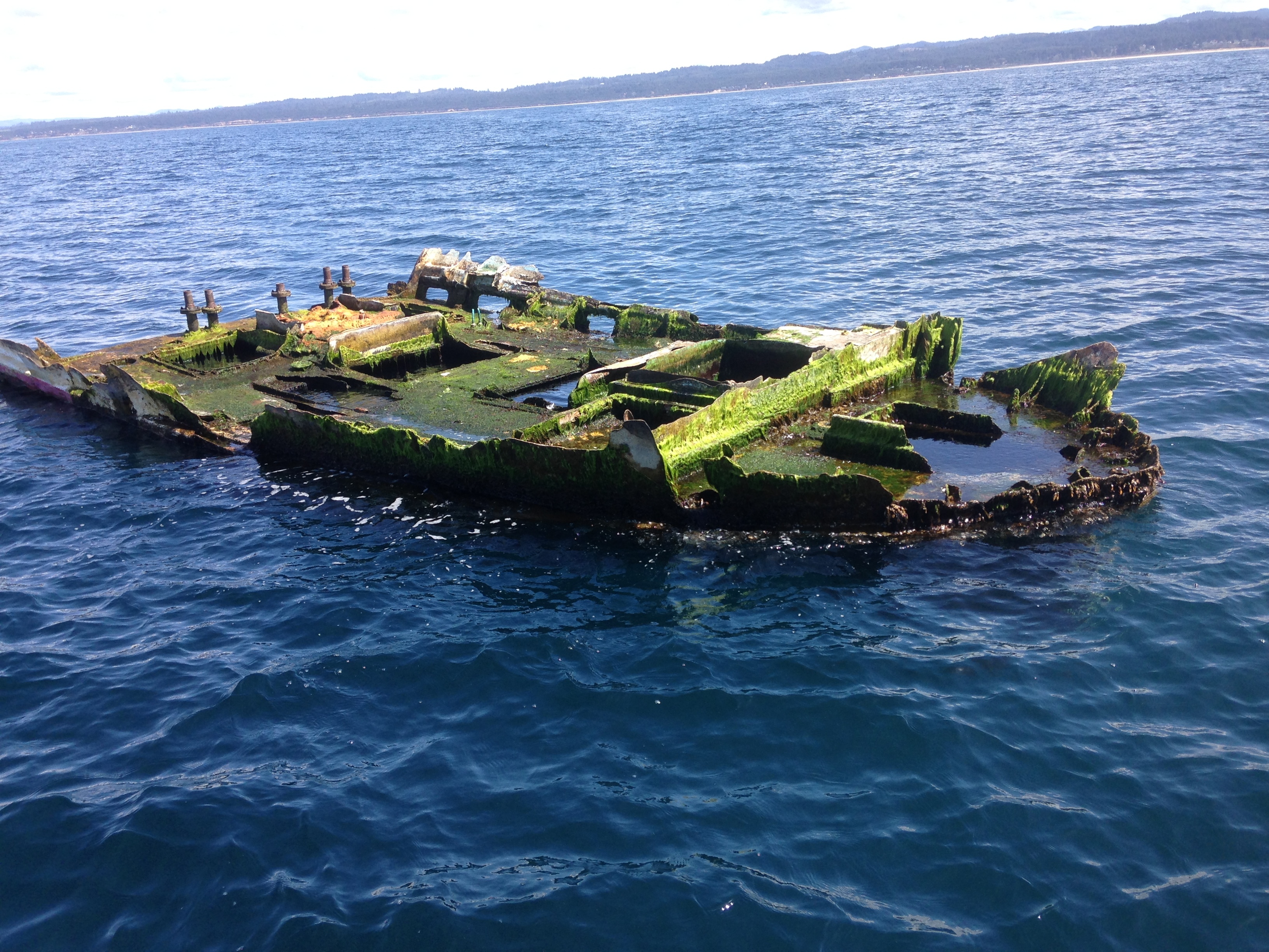 This is the Japanese boat wreckage that was recovered off of Newport, Oregon last April with a school of non-native fish inside its hull. (Photo courtesy of John Chapman, OSU-HMSC)