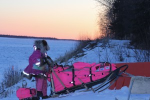 DeeDee Jonrowe is racing the 2016 Iditarod after she lost her home in a wildlife. (Photo by Zachariah Hughes/KSKA)