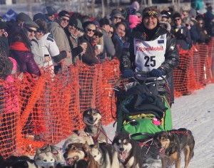 Jan Steves, pictured here at the Sunday race start, scratched from Iditarod 44 after reportedly crashing. Photo by Ben Matheson / Alaska Public Media.