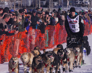 Dallas Seavey, pictured at the Willow restart, is moving towards Noah Burmeister on the Iditarod trail out of Nikolai. (Photo by Ben Matheson / Alaska Public Media.)