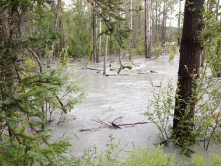 Matanuska river flooding its banks in 2015 (Photo by Ellen Lockyer)