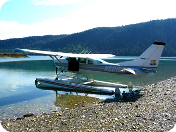 A photo of a Cessna 206 from Sunrise Aviation’s website.