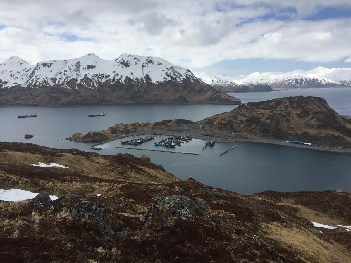 The body of fisherman Matt Warn was found in the Carl E. Moses boat harbor, shown here from a Pyramid Mountain trail. (Photo courtesy of Vic Fisher)