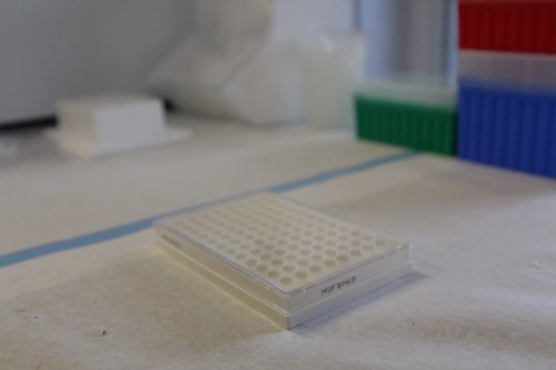 A plate reader, used by Sitka Tribe of Alaska’s new environmental lab to test small quantities of highly concentrated shellfish tissue for toxins. (Photo by Emily Kwong, KCAW - Sitka)