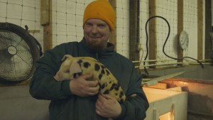John McElwain shows off one of his new piglets at the Pt. Mackenzie Correctional Farm. (Norris/Alaska Public Media)