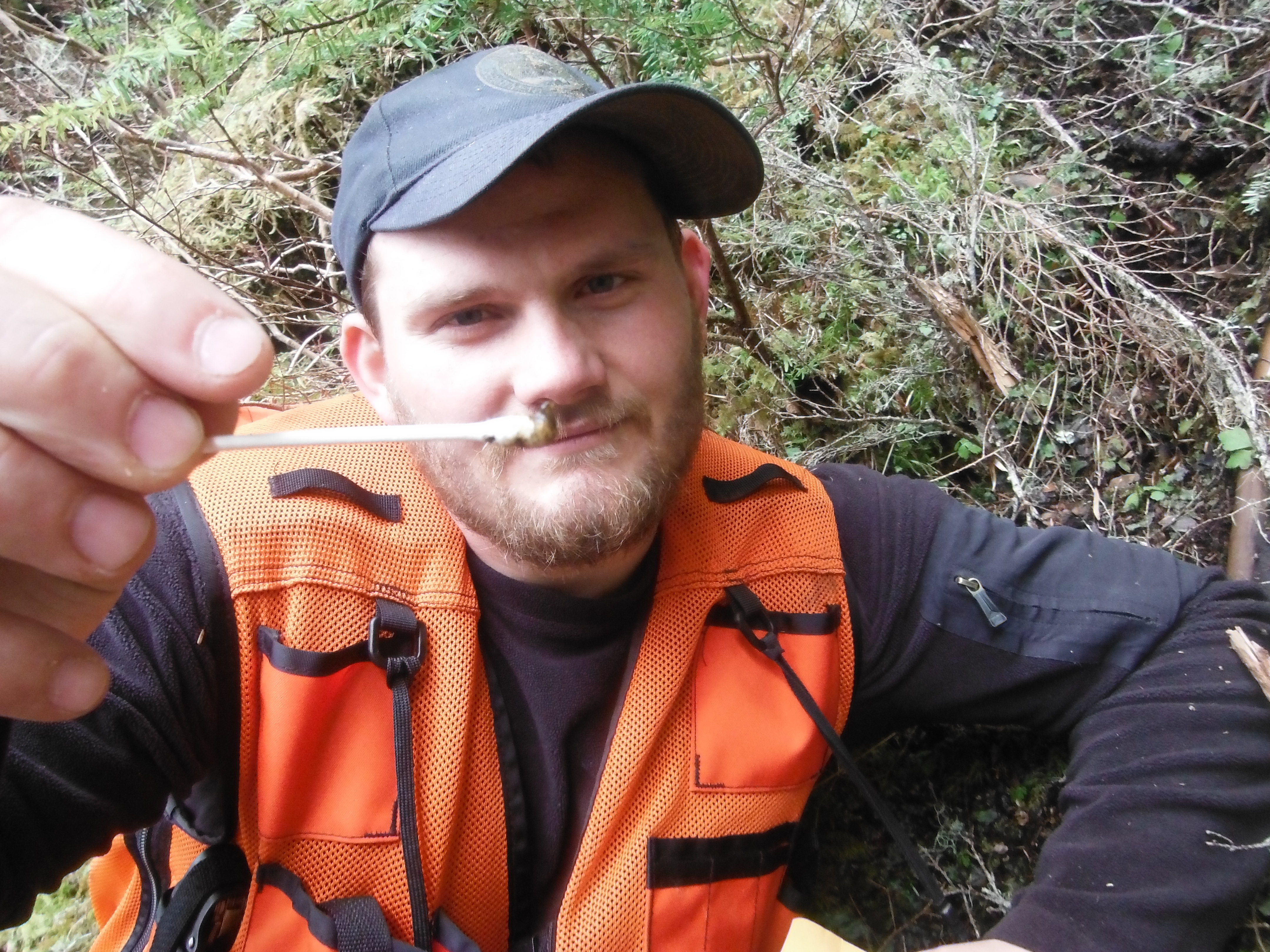 ADF&G wildlife technician, Lucas Baranovic, holds a q tip with DNA from a deer pellet. (Photo courtesy of Alaska Department of Fish and Game)