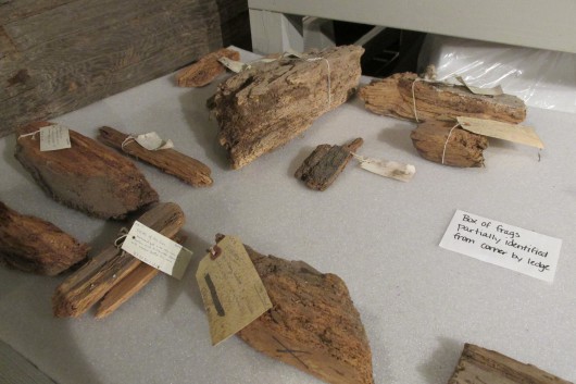 Fragments await cataloging. Many have fading, 40-year-old labels. (Photo by Maria Dudzak, KRBD - Ketchikan)