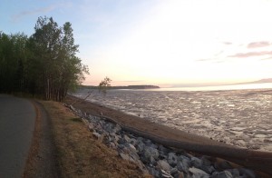 View from the Tony Knowles Coastal Trail