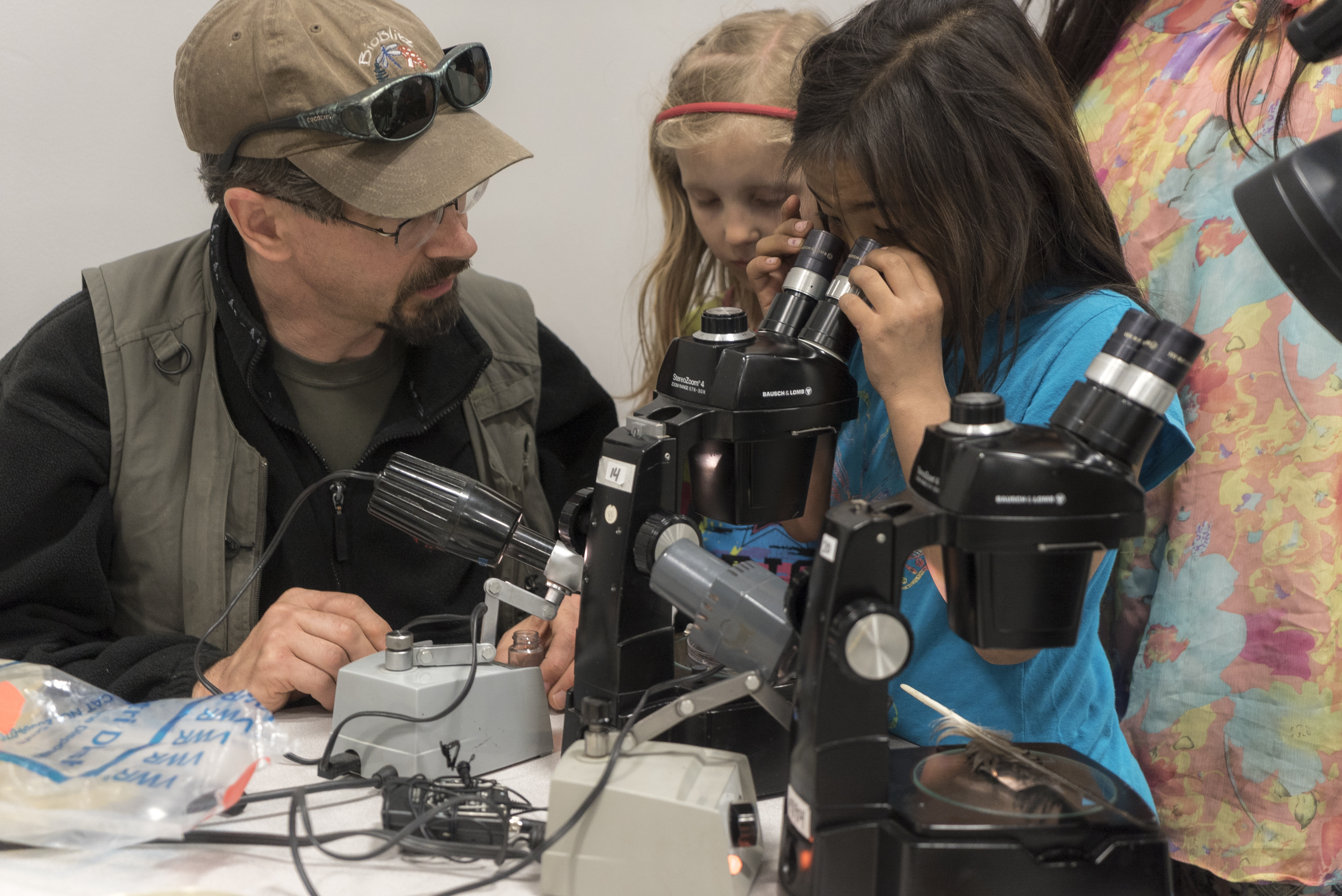 Seven-year-old Anna Nukapigak looks through a microscope at samples. (Photo courtesy of the National Park Service)