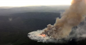The Big Mud Fire, burning 55 miles southwest of Tanana, was discovered yesterday by civilian aircraft. A BLM Alaska Fire Service aircraft responded from Fairbanks and flew over the lightning-caused fire. The fire is estimated to have burned about 300 acres, mostly along a ridgeline north of the Big Mud River. (Photo courtesy of Alaska Fire Service)