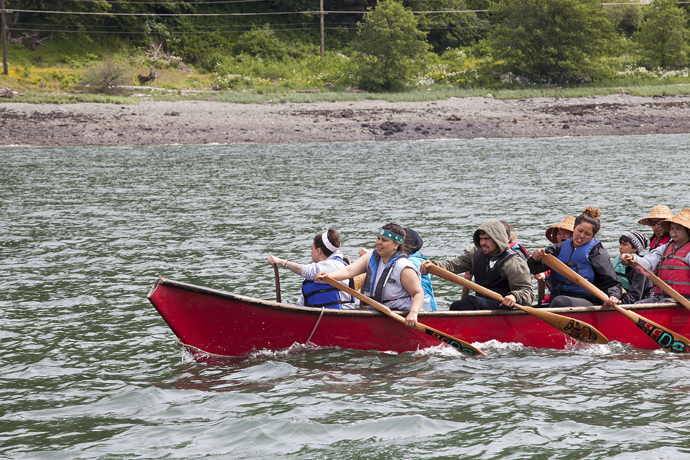 Members of the One People Canoe Society push during the last leg of their journey on Wednesday, June 8, 2016, near Juneau, Alaska. The group began the trip to Juneau from Angoon on June 2. Their trip is the unofficial beginning of Celebration. (Photo by Rashah McChesney, KTOO - Juneau)