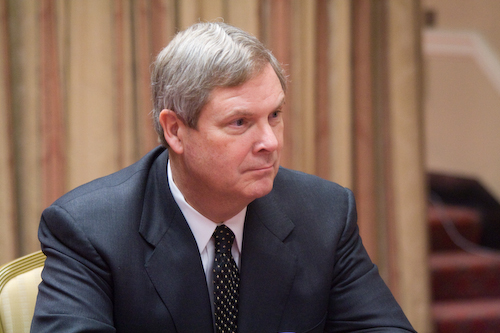 Tom Vilsack, Secretary of Agriculture (Wikicommons photo)