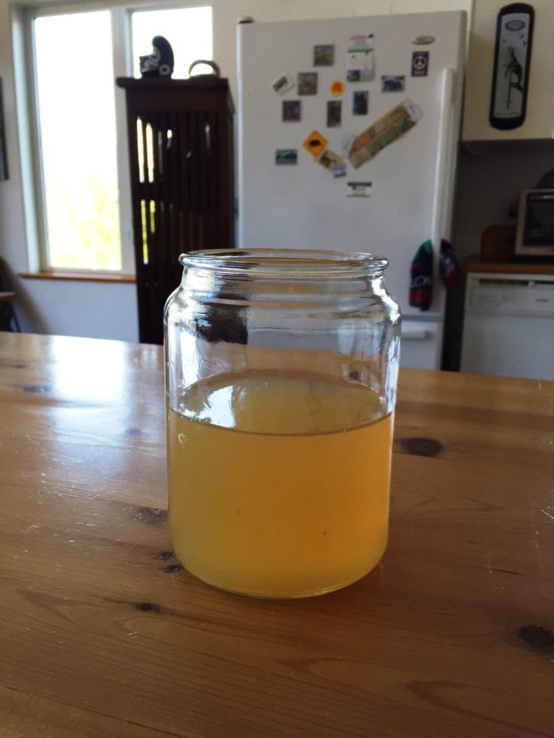 Haines resident Merrill Lowden took this picture of her water at about 4 p.m. Sunday, July 17. 