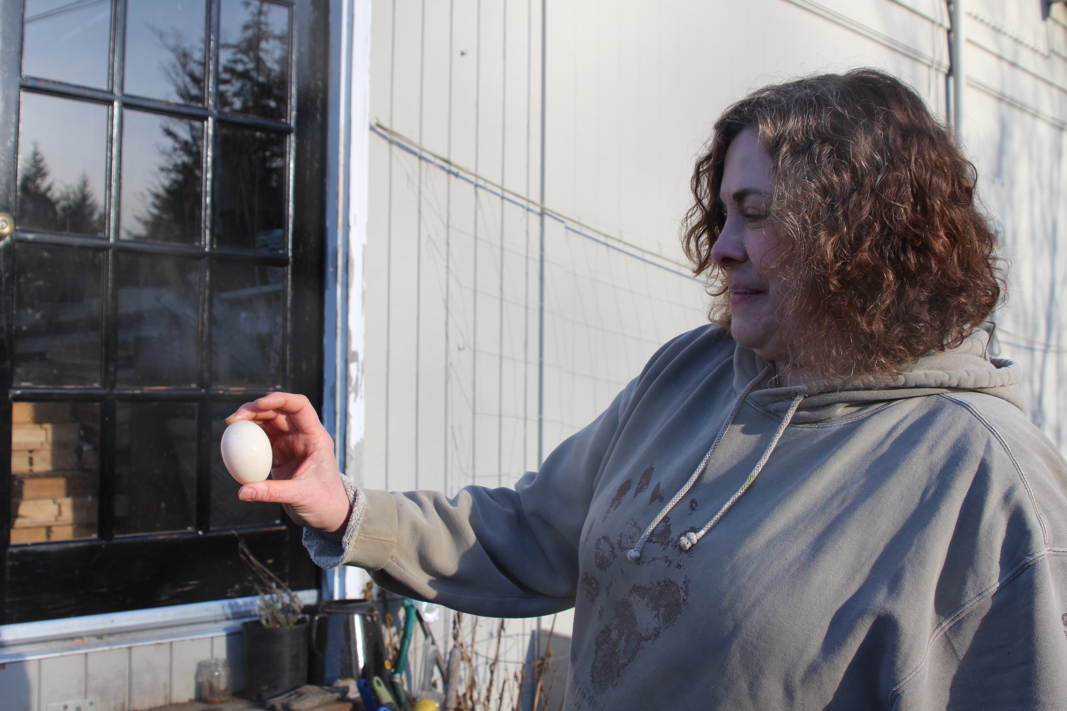 Bobbi Daniels grew up in farm country in Indiana. She's bringing her agricultural knowledge to Sitka, operating the Sawmill Farm since 2001. (Emily Kwong, KCAW - Sitka)