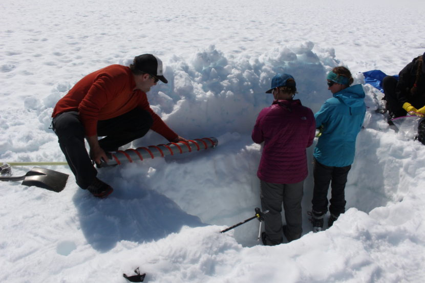 Shad O’Neel releases an ice core onto a make-shift “work station,” during scientific research on the Juneau ice field. (Photo by Elizabeth Jenkins, KTOO - Juneau)
