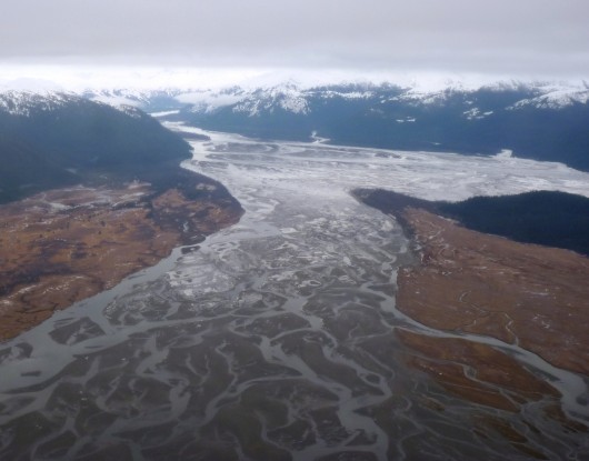 The Stikine River Delta, as seen from the air. (Ed Schoenfeld, CoastAlaska News.)