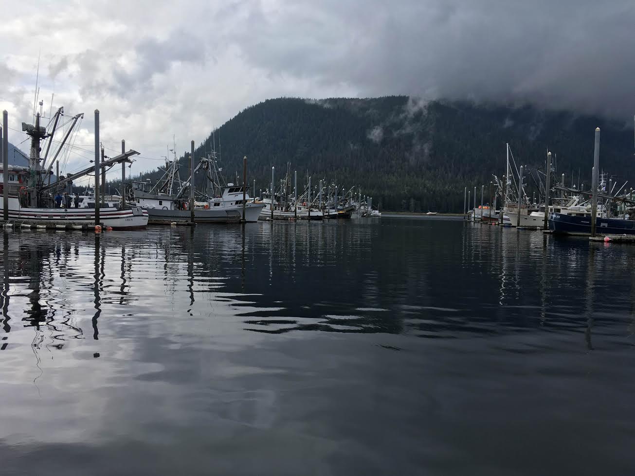 Despite a one-day seining opening in the region, many seiners docked in Petersburg and removed their nets. (Photo, Abbey Collins - KFSK - Petersburg)