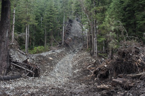 In the wake of the August 18th landslide, local leadership found itself in an unprecedented situation, offering words of comfort to the community while processing the catastrophe themselves. (Photo by Mike Hicks, KCAW - Sitka)