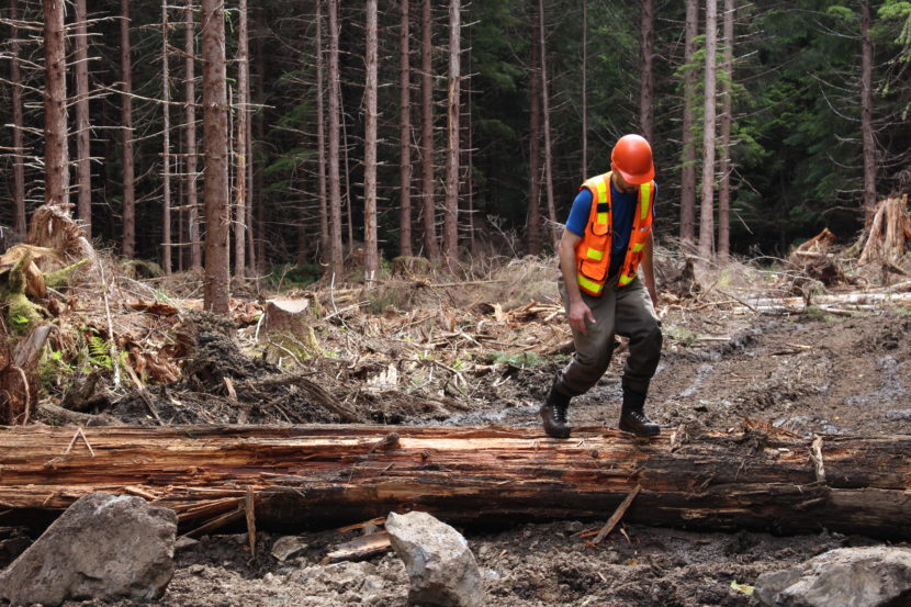 Kuiu Island in 2014. At the time, the U.S. Forest Service was repairing streams on the island damaged by logging from the 1970s. Now, 23 million board feet could be harvested on the north part of the island. (Photo by Elizabeth Jenkins, KTOO - Juneau)