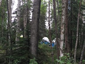 Camps set up along the Chester Creek Trail in Anchorage. (Hillman/KSKA)
