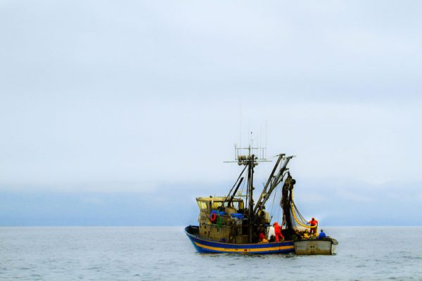 Commercial fishing in Alaska is a multi-billion dollar industry. (Aftab Uzzaman/Flickr)