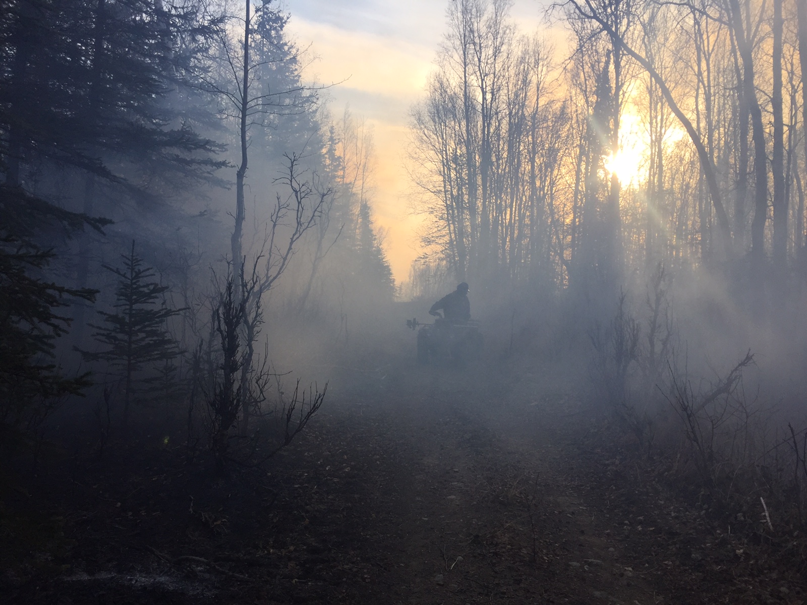 A firefighter on a four-wheeler drives down a trail while patrolling the Moose Creek Fire on Sunday, Oct. 16. (Photo by Sarah Saarloos, Alaska Division of Forestry)