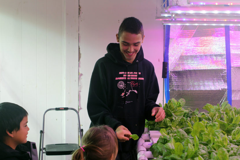 Dallas Roberts shares lettuce from St. Paul’s greenhouse with students. (Photo by Zoë Sobel, Alaska's Energy Desk - Unalaska)
