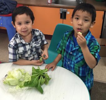 Kids in St. Paul sample lettuce. (Photo courtesy of Lauren Divine)