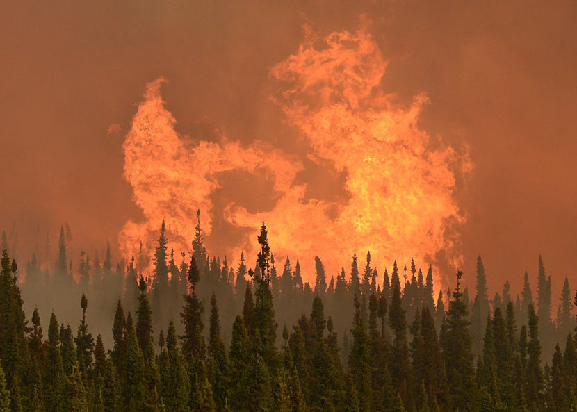Flames from the Funny River Wildfire flare up on May 24, 2016 in Soldotna, Alaska. The wildfire started unusually early in the season and burned nearly 200,000 acres on the Kenai Peninsula. (Photo by Rashah McChesney/Peninsula Clarion)
