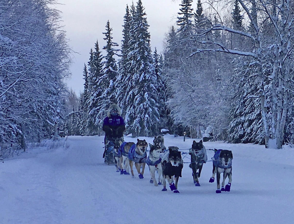 Iditapod The Yukon Quest Alaska Public Media