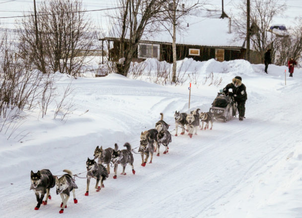 They're off: Mushers begin trek to Nome; Seavey seeks record