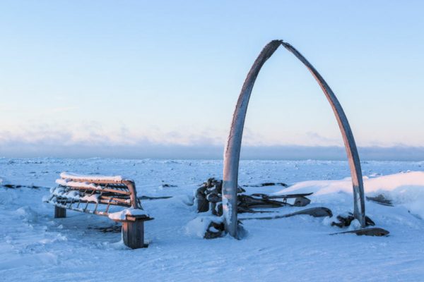 An arch in the snow made from giant whale ribs