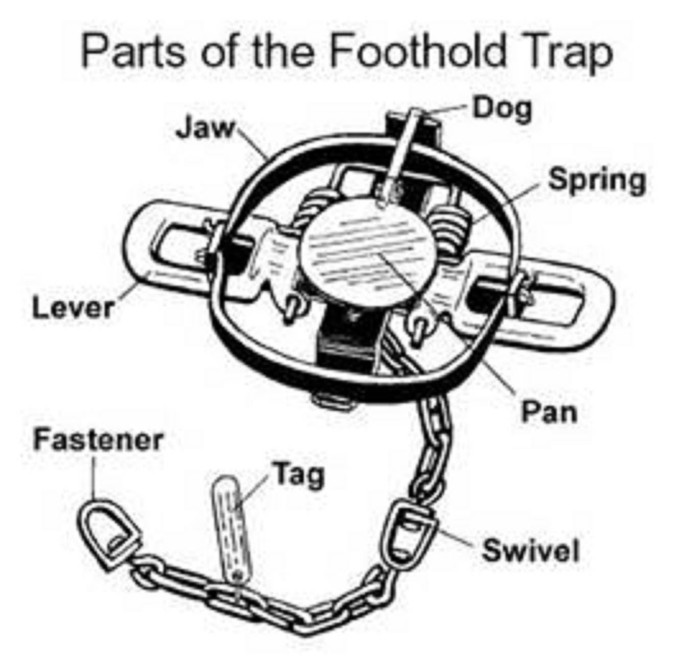 leg hold trap foot trap jake