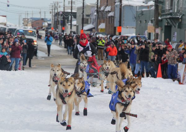 Sled dogs travel down a snowy street with musher Aliy Zirkle on the back of the sled.