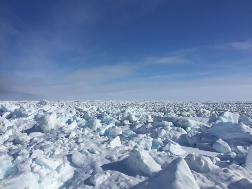 To get a count on bowhead whales, North Slope scientists head out onto ...