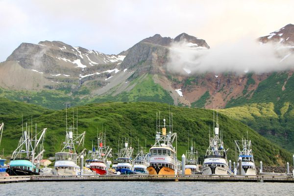 A row of fishing boats moored in a harbor with mountains in the background