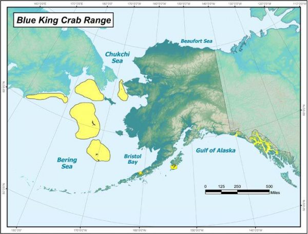 Blue king crab fisheries in the Bering Sea are struggling - Alaska