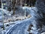 Icy trail in Kincaid
